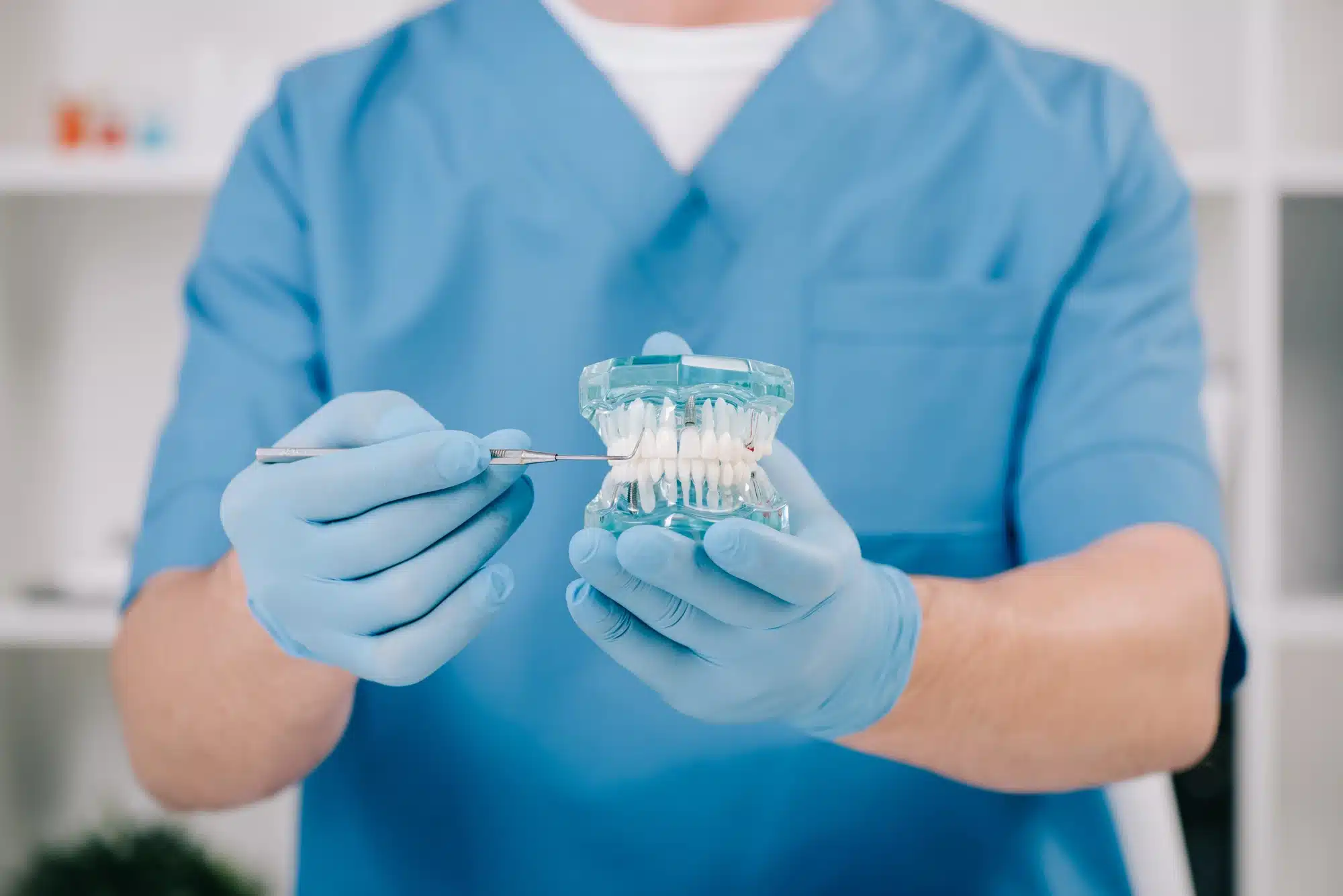 orthodontist in Novi, MI holding dental model